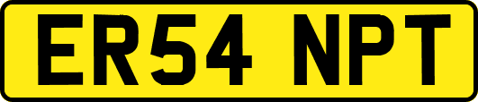ER54NPT
