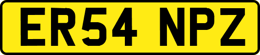 ER54NPZ