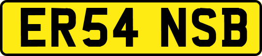 ER54NSB