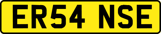 ER54NSE