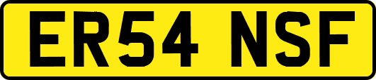 ER54NSF