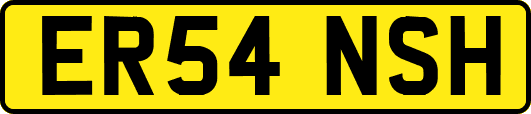 ER54NSH