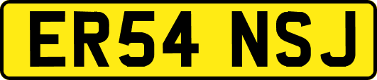 ER54NSJ
