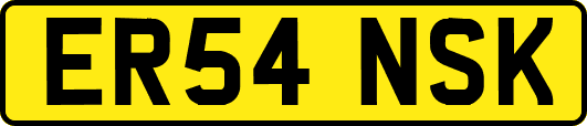ER54NSK