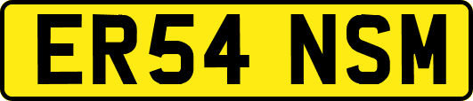 ER54NSM