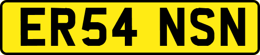 ER54NSN