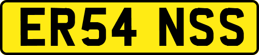 ER54NSS
