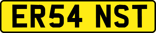 ER54NST