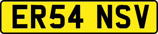 ER54NSV