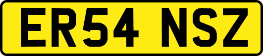 ER54NSZ