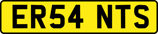 ER54NTS
