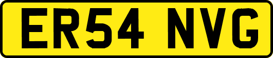ER54NVG
