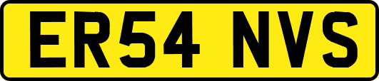 ER54NVS