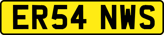 ER54NWS
