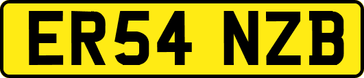ER54NZB