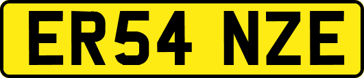 ER54NZE