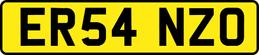 ER54NZO