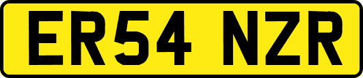 ER54NZR