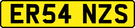 ER54NZS