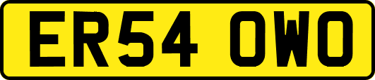 ER54OWO