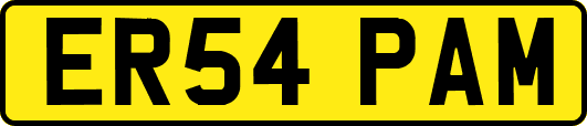 ER54PAM