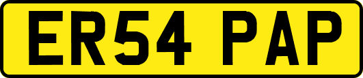 ER54PAP