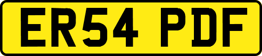 ER54PDF