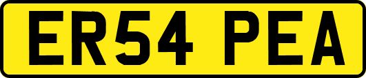 ER54PEA
