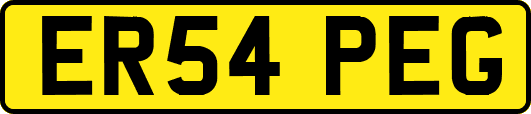 ER54PEG