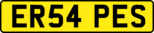ER54PES