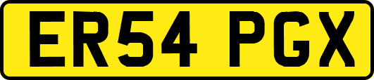 ER54PGX