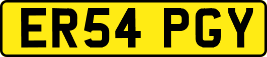 ER54PGY