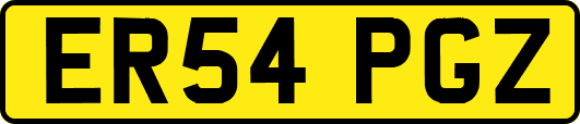 ER54PGZ
