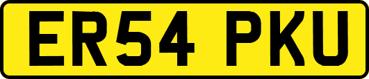 ER54PKU