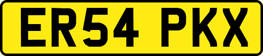 ER54PKX