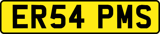 ER54PMS