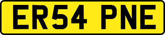 ER54PNE