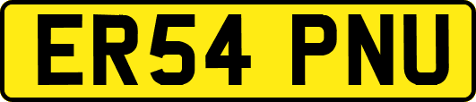 ER54PNU