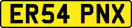 ER54PNX