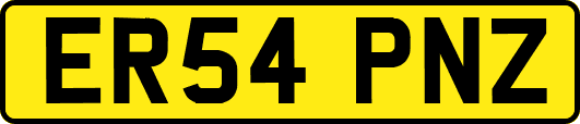 ER54PNZ