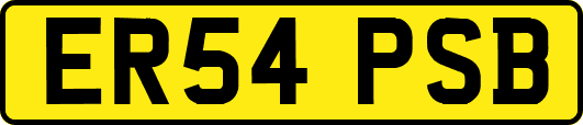 ER54PSB