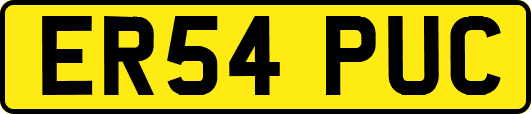 ER54PUC