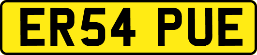 ER54PUE