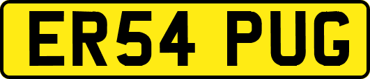ER54PUG