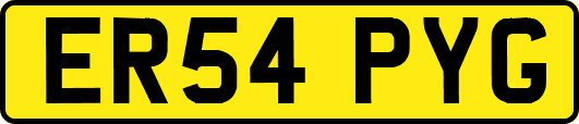 ER54PYG