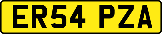 ER54PZA