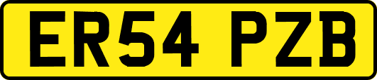 ER54PZB