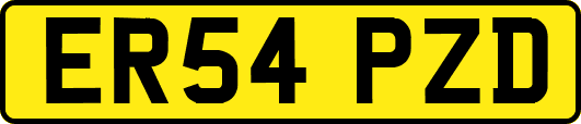 ER54PZD