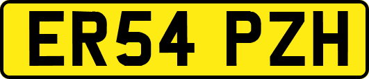 ER54PZH