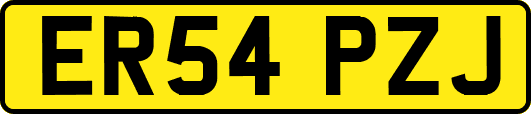 ER54PZJ